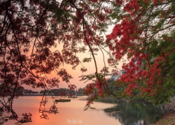 Hà Nội trong tim tôi