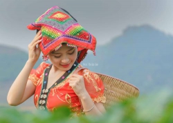 Chuyện tình người và tiên