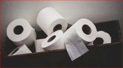 Câu chuyện về cuộn giấy vệ sinh