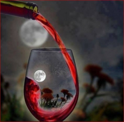 Rượu và trăng