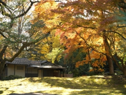 Nước Nhật mùa lá vàng lá đỏ