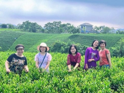 Lời thương xứ trà