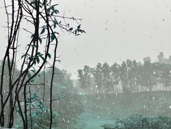 Lại nhờ giời