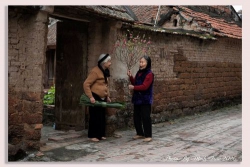 Tết nhà bên