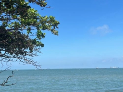 Một Trường Sa xanh