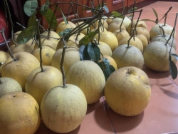 Bài học của cuộc sống
