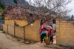 Hạnh phúc là gì?
