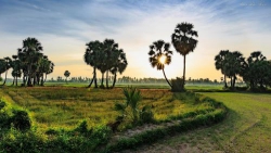 Về quê ngày giỗ bố