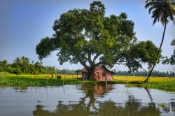Tạ ơn