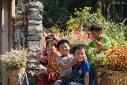 Chuyện về những người bạn