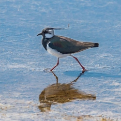 Đừng nhắc tên tôi