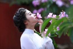 Hỏi mây