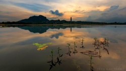 Thu về muôn một
