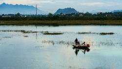 Tản mạn mùa Đông