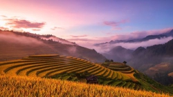 Chương 36 Đạo Đức Kinh của Lão Tử