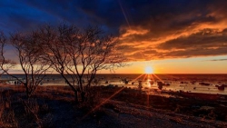 Chiều mang bóng nắng xa dần