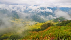 Trăn trở