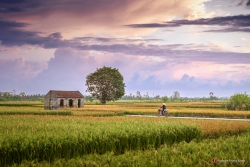 Tôi cúi đầu bái lạy một "Khuê Văn"