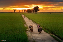Sau tất cả