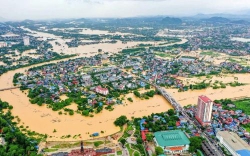 Thành phố của tôi sau bão lũ
