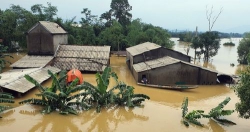 Văn chương chống bão lụt cùng người