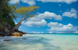Âm vang Trường Sa