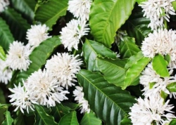 Chỉ tại... chẳng may....