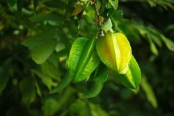 Buồn đời và buồn đau