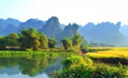 Bên cầu ao