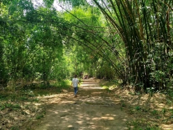 Mùa thu bên hàng rào gai