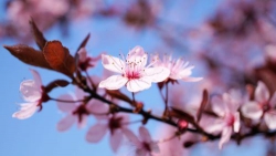 Lại gần ta để có nhau