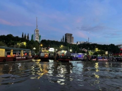 Hoa điên điển