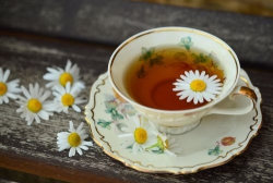 Nỗi sợ của người già