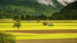 Yêu và ghét