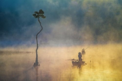 Tâm sự buồn