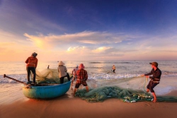 Hải Phòng tôi yêu