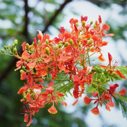 Đêm vắng