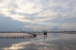 Có những ngày như thế