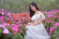 Gửi lại mùa thu