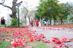 Gối mộc miên