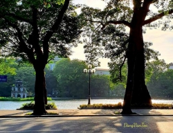 Đồng âm dị nghĩa