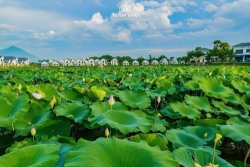 Học chấp nhận