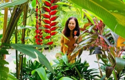 Ngó về quê mẹ