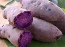 Khoai lang