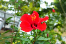 Kính ngữ và cách thể hiện
