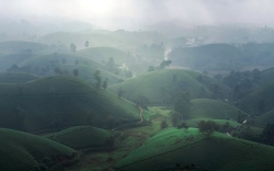 Sương sớm Sapa
