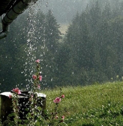 Mưa Thái Nguyên…