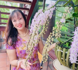 VŨ MỸ HẠNH