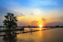 Nắng