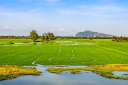 Ngày ấy mình về thăm quê